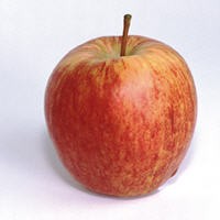 Manzana Fuji, 1 Kg