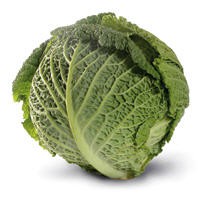 Repollo crespo 1 u